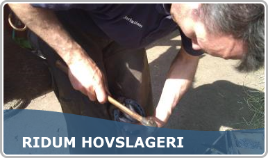 Ridum hovslageri
