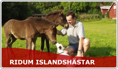 Ridum Islandsh�star